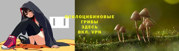 круглые Алексеевка