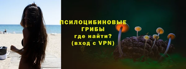 гидра Алексин