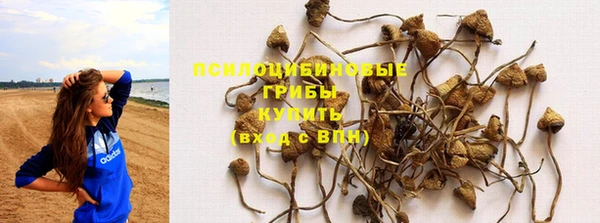 круглые Алексеевка
