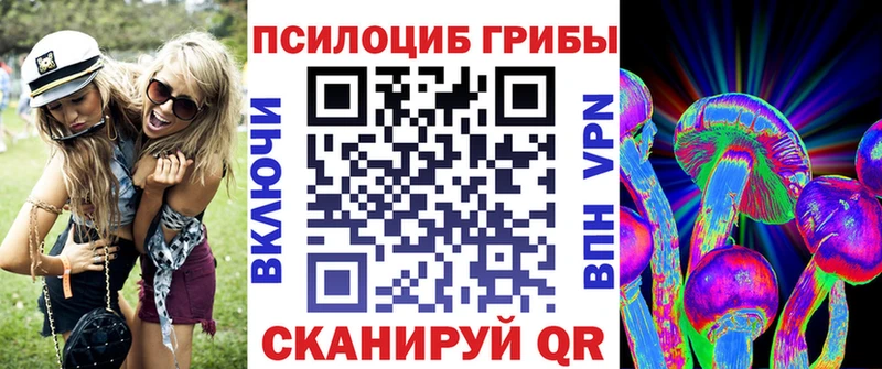 дарк нет клад  Константиновск  Галлюциногенные грибы GOLDEN TEACHER 